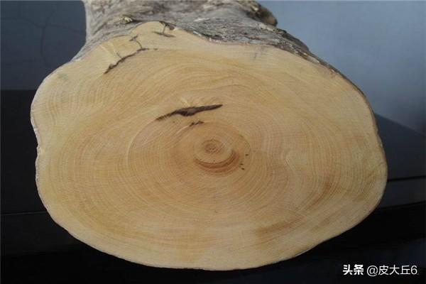 黄杨木鉴别_黄杨木鉴别图片