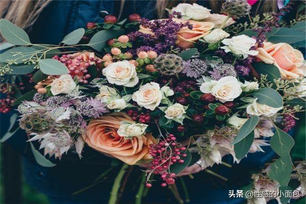 各种花的花语_各种花的花语和图片