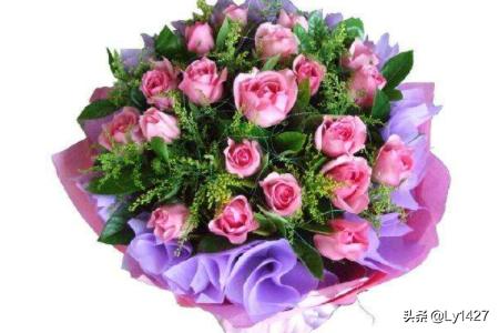 教师节送什么花给老师比较适合