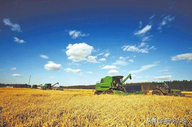 农村种什么赚钱_农村种什么赚钱快又稳定