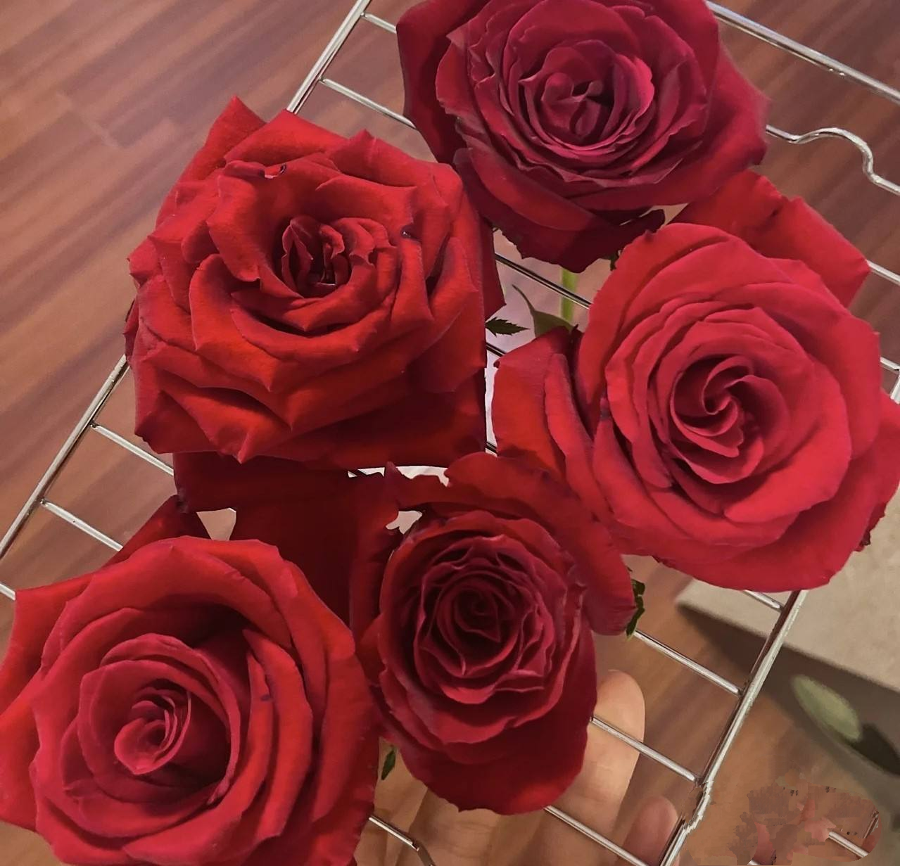 干花制作方法_干花制作方法及过程