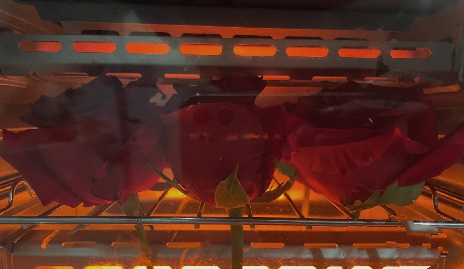 干花制作方法_干花制作方法及过程