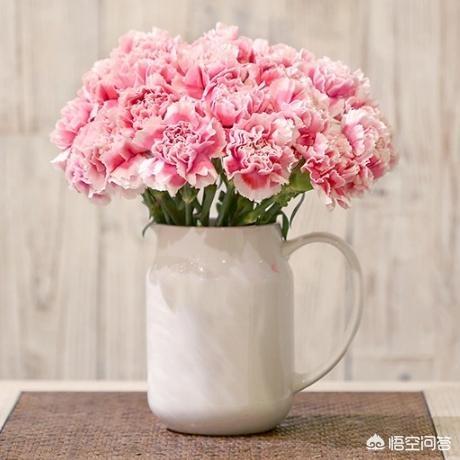 父亲节送什么花好_父亲节都送什么花
