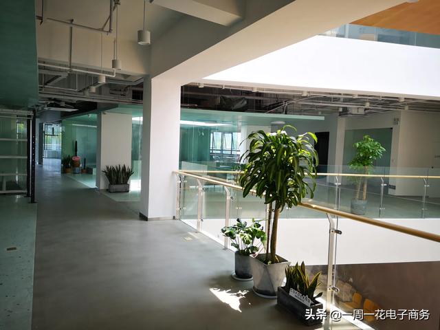 附近绿植店_附近绿植店联系方式电话
