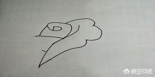 玫瑰花简笔画 漂亮_玫瑰花简笔画简单