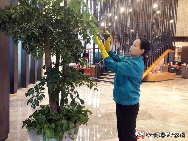 西安鲜花速递哪家好_西安生日鲜花快递