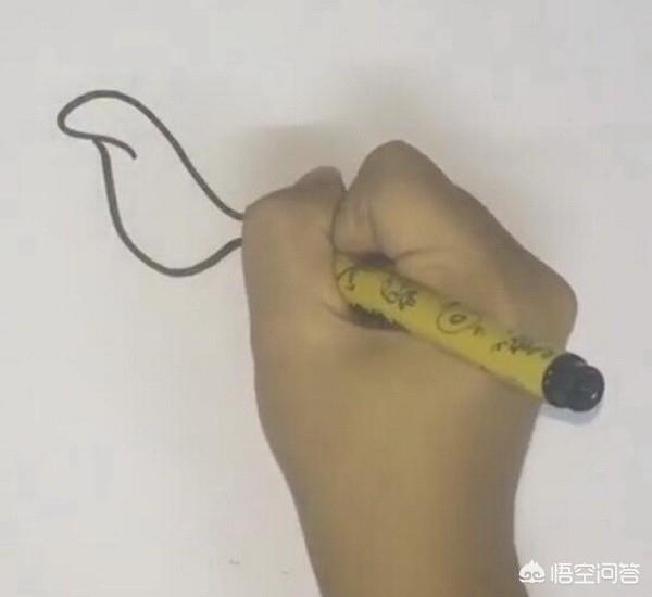 真正蔷薇花图片_真正的蔷薇花