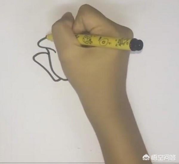 真正蔷薇花图片_真正的蔷薇花