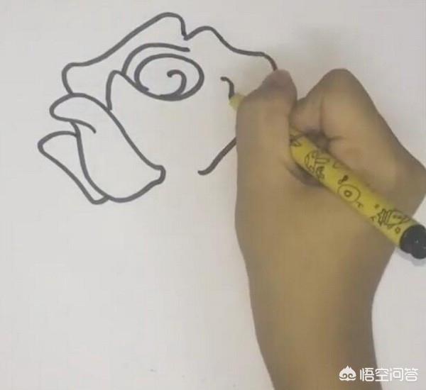 真正蔷薇花图片_真正的蔷薇花